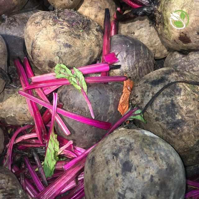 Hạt Giống Củ Dền Đỏ Crimson Globe Phú Nông - Gói 5g - Beetroot Crimson Globe