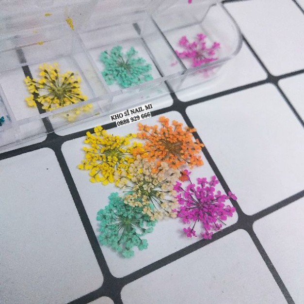 Hoa khô trang trí móng tay - Set 12 màu hoa chùm đắp gel ẩn phong cách Hàn Nhật