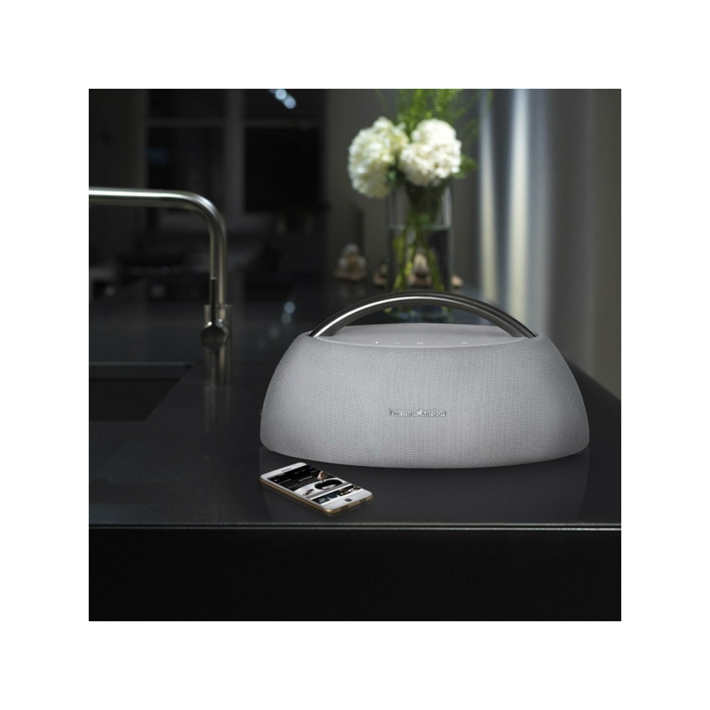 Loa Harman Kardon Go Play - NEW 100%