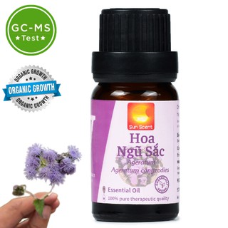 Tinh dầu Hoa Ngũ Sắc Sun Scent
