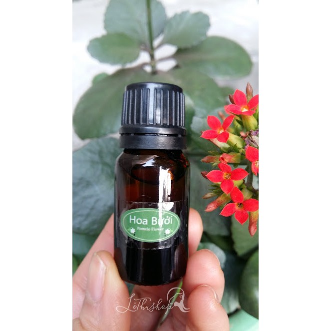 Tinh dầu bưởi - Grapefruit Essential Oil