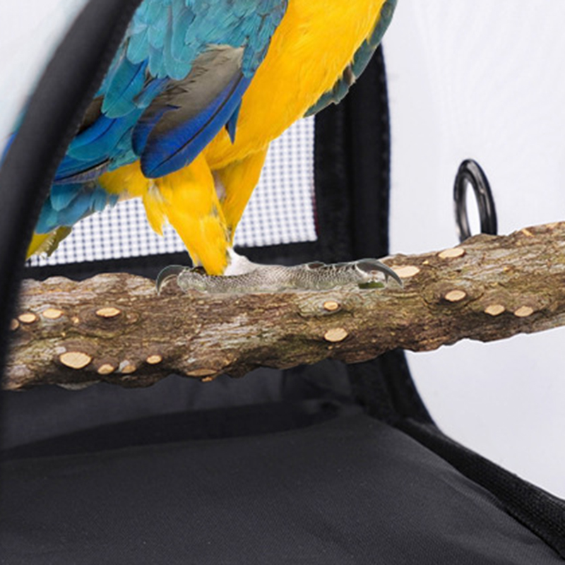 Túi vận chuyển chim vẹt ngoài trời thiết kế thoáng khí có dây đeo JP6