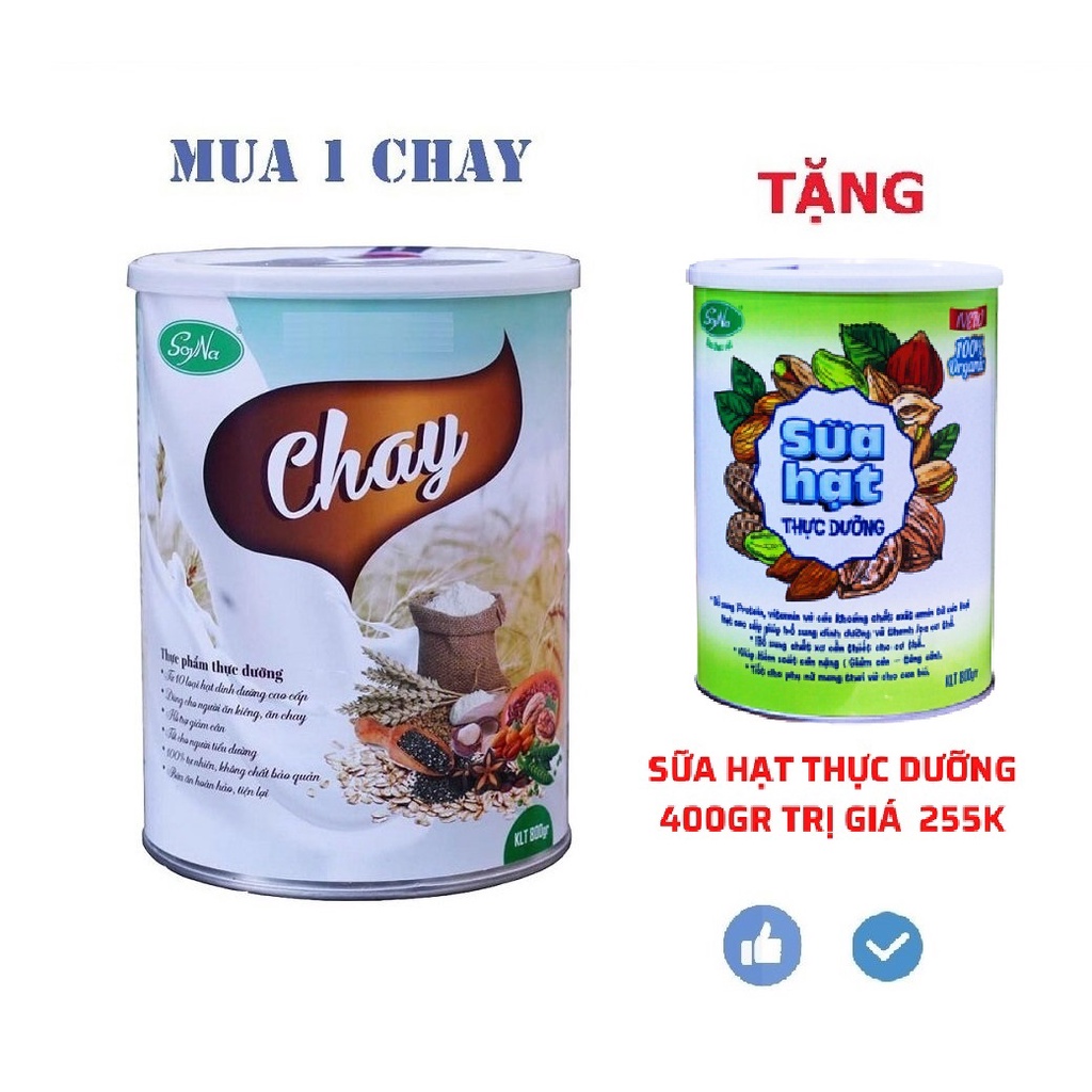 Sữa Hạt Chay SoyNa Dành Cho Người Ăn Chay hộp 800g