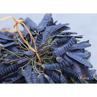 TRÁI BỒ KẾT KHÔ_500gram [Organic]