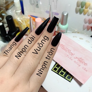 Nailbox Thiết Kế Mẫu Socola