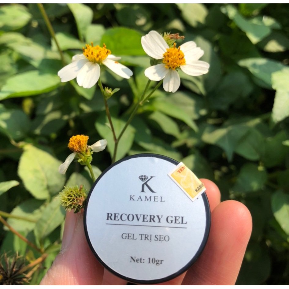 Gel Xóa Sẹo Thâm, Sẹo Lồi, Sẹo phì đại - Recovery Gel Kamel (Karmel)