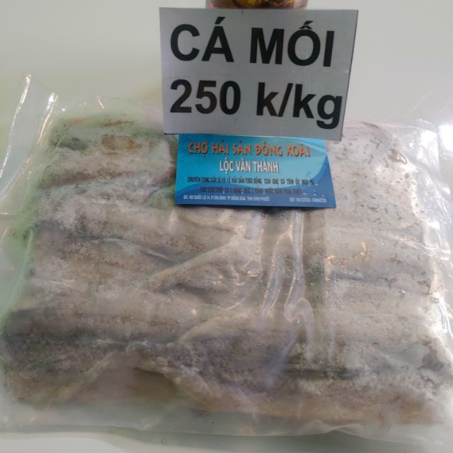 Cá mối 1 nắng