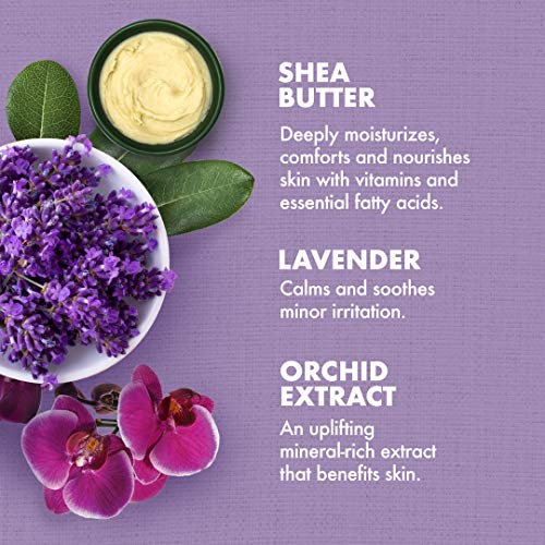 Bill US - Tẩy tế bào chết toàn thân SheaMoisture Lavender and Wild Orchid Hand and Body Scrub 340g