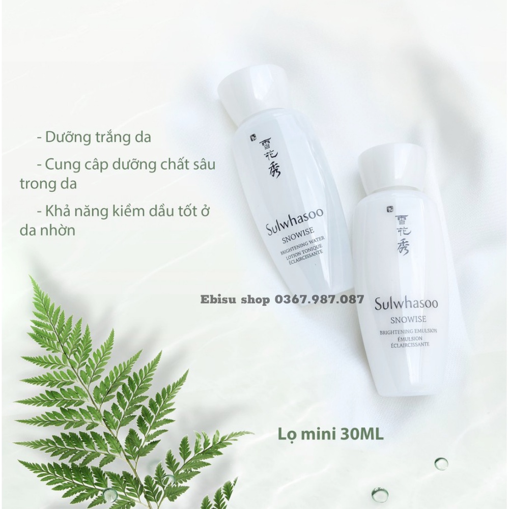 Cặp Hoa hồng + Sữa Dưỡng Trắng Da Bạch Sâm Sulwhasoo Snowise Brightening Emulsion 30ml