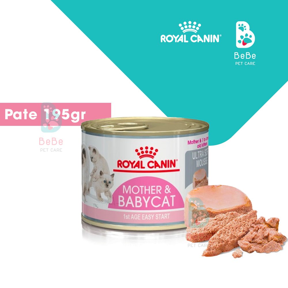 Pate ROYAL CANIN Mother &amp; Baby Cat Cho Mèo Mẹ &amp; Mèo Con 195Gr