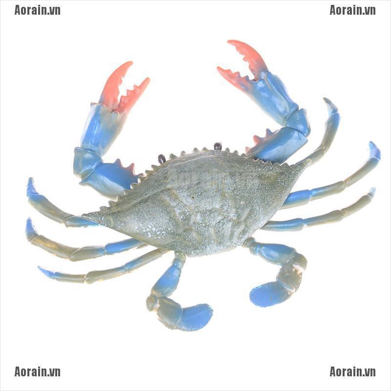 Mô Hình Đồ Chơi Cua Biển Độc Đáo