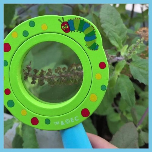 Đồ chơi Kính Lúp Chính hãng Mideer, Đồ Chơi Giáo Dục Khám Phá Thế Giới Cho Bé Yêu Say Mê Tìm Tòi, Quan Sát - Clever Kids