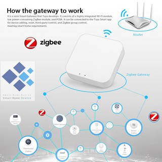 Hub Zigbee  Tuya / Smart Life Wifi