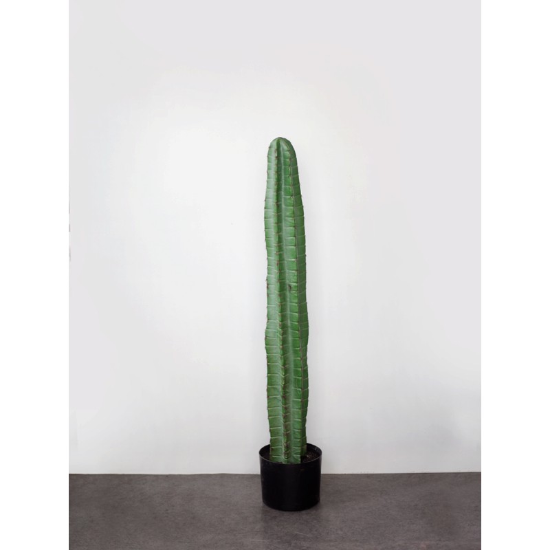 Cây xương rồng ba khía một nhánh giả bằng nhựa PP cao 100 cm - CC373 - Jassi Decor