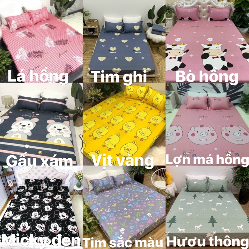 Bộ GA chun kèm 2 vỏ GỐI cotton POLY, giá xả kho. Khách được chọn mẫu