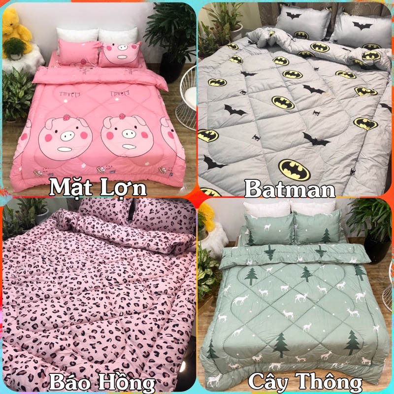 Trọn bộ 5 món ga gối chăn phao poly cotton có ruột bông dày loại 1 ( nhắn chọn mẫu )