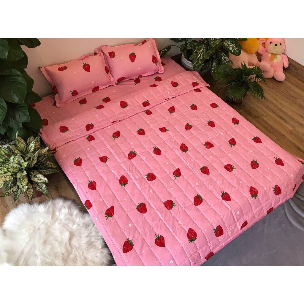 Sét Chăn hè ga gối Cotton Poly Emmidecor Mẫu Dâu Tây Hồng