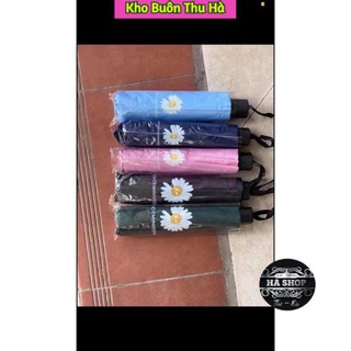 [ FREE - SHIP 50K ]  ô hoa cúc hót hít
