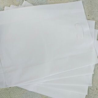 Túi PE shop trắng thời trang size 25x35. 30x42 và 40x60