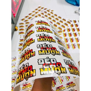 Tem Decal Racing