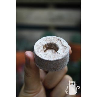 Viên nén xơ dừa ươm hạt giống
