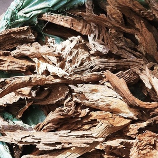 1 KG LŨA SẦM LŨA SĂN ĐÁ - LŨA SẦM ĐỎ CHUYÊN DỤNG THIẾT KẾ HỒ THUỶ SINH