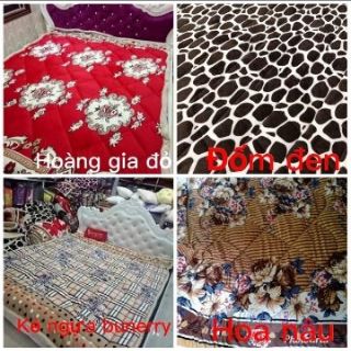 Chăn lông cừu việt nam