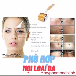 LĂN KIM  ZGTS CHO SPA