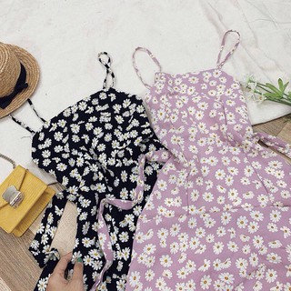 ĐẦM HOA CÚC 2 DÂY CỘT NƠ LƯNG 2 màu
