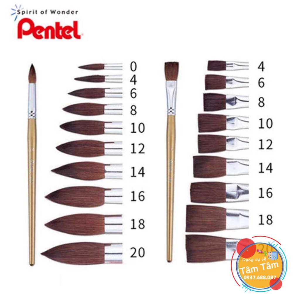 [ TÂM TÂM ]-Cọ vẽ Màu Nước Pentel ZBS1 | Đầu Cọ Mềm Mượt | Nhiều Kích Cỡ Khác Nhau