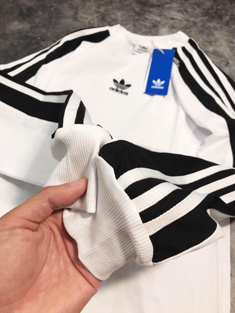 Áo thun das tay dài cambo