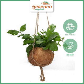 Chậu treo đơn xơ vàng dây đan [mua 10 tặng 1 chậu trồng lan]