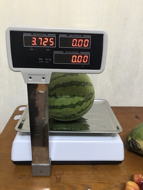 Cân điện tử in hoá đơn