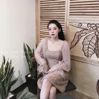 Đầm dạ đính ngoc dự tiệc