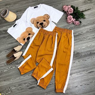 Sét bộ thun nữ in hình gấu ( kèm ảnh thật )