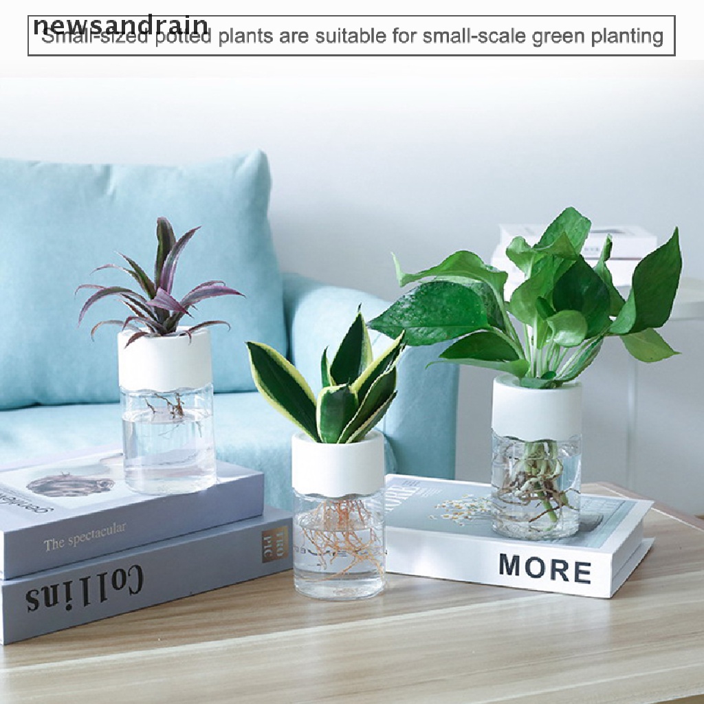 Chậu Trồng Cây Thủy Canh Trong Suốt Không Cần Đất Hấp Thụ Nước