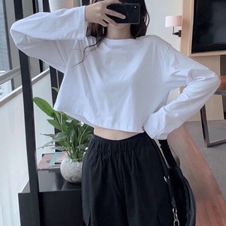 [Loại1] Áo croptop dài tay chất nỉ da cá dày dặn