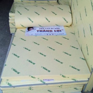 [MiễnShip] Nệm cao su non Thắng Lợi (chính hãng BH 15 năm)
