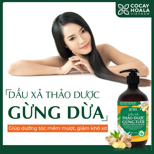 Dầu gội 🍀FREESHIP🍀 Dầu gội thảo dược gừng dừa Cocayhoala đánh bay gàu, giảm ngứa dung tích 440g/chai | BigBuy360 - bigbuy360.vn
