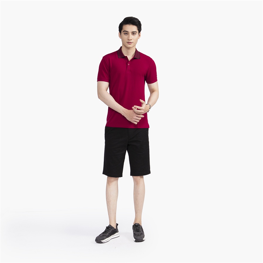 Áo thun polo nam Aristino APS140S2 phông ngắn tay có cổ bẻ dáng slim fit ôm nhẹ màu booc đô vải Cupro cao cấp