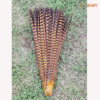10 lông vũ nhiều màu 30-35cm