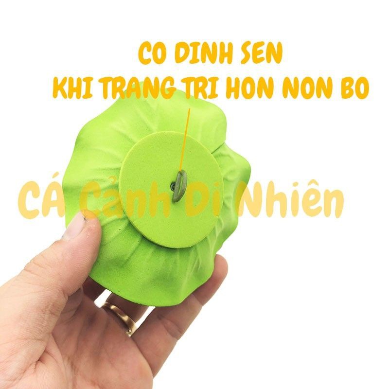 Hoa sen giả trang trí nổi trên nước