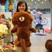 Gấu Brown khổ vải 80cm