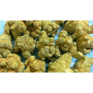 Củ tam thất bắc, bột tam thất giúp ngăn chặn khối u Trà Hoa Cô Ba 500gr