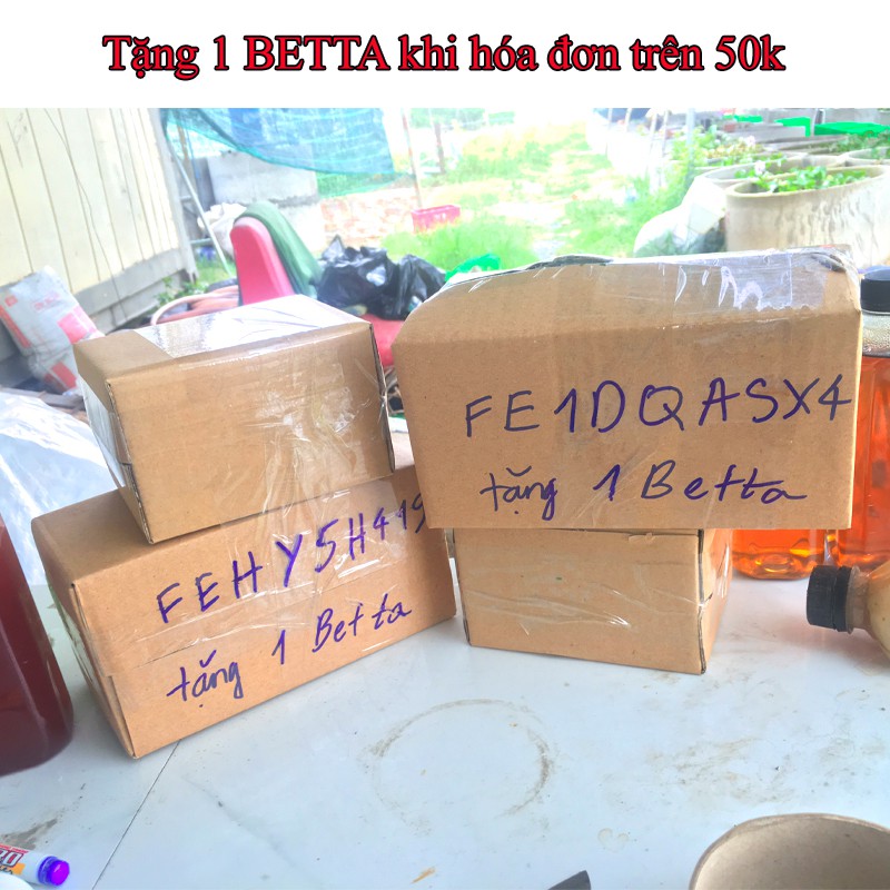 THAN TỔ ONG SẠCH 🍪 XỈ THAN 🍪 SIÊU LỌC NƯỚC