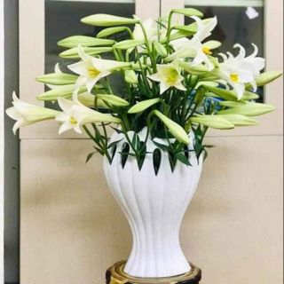 Lọ cắm hoa bàn tay phật 28cm