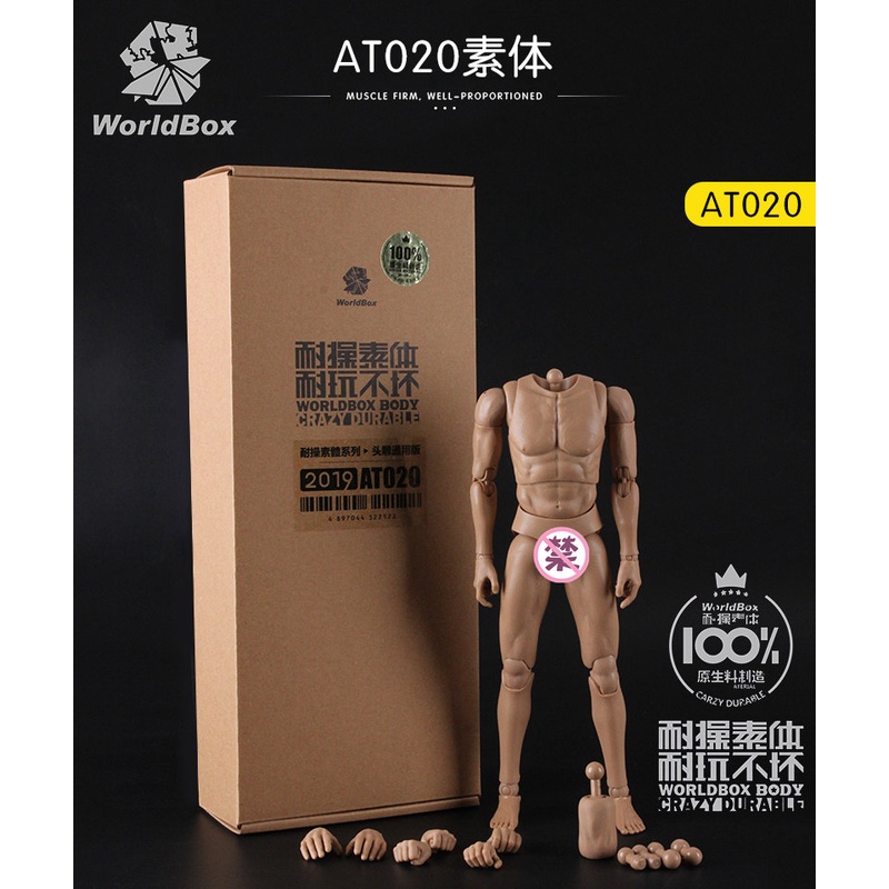 Mô hình Body Male AT020 tỉ lệ 1/6 - Hãng WorldBox