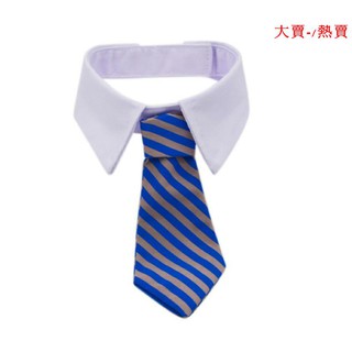 Phụ Kiện Chụp Ảnh Sáng Tạo