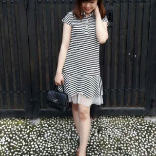 Đầm sọc kute phối lưới