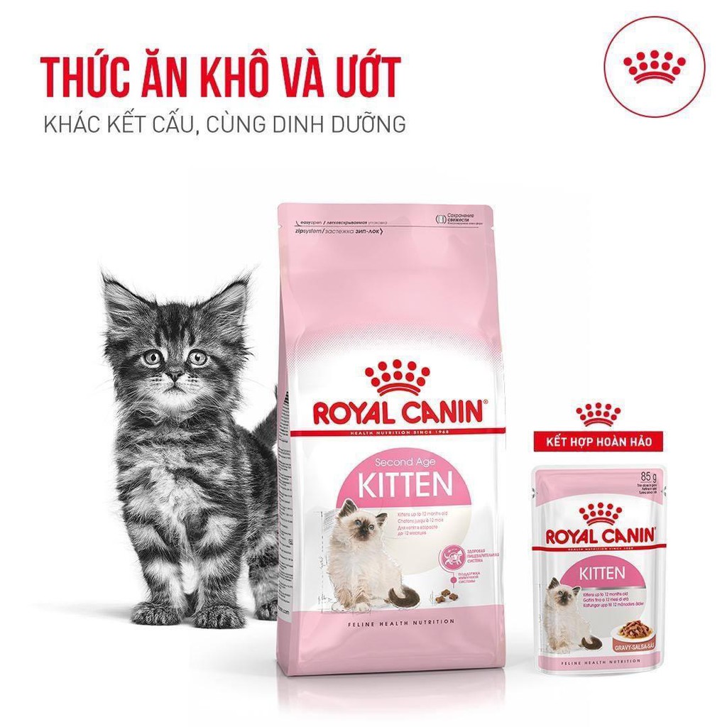 Thức ăn cho mèo con Royal Canin Kitten 36 Túi Hãng 2kg